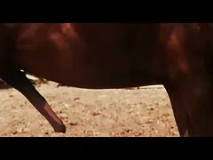 துஷி குத ஆர்வமுள்ள ரெட்ஹெட் ஜெசிகா தனது திருமணத்தை மேம்படுத்துகிறார்