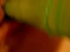 வன நிம்ஃப் முதல் அனல் நிம்போ வரை!